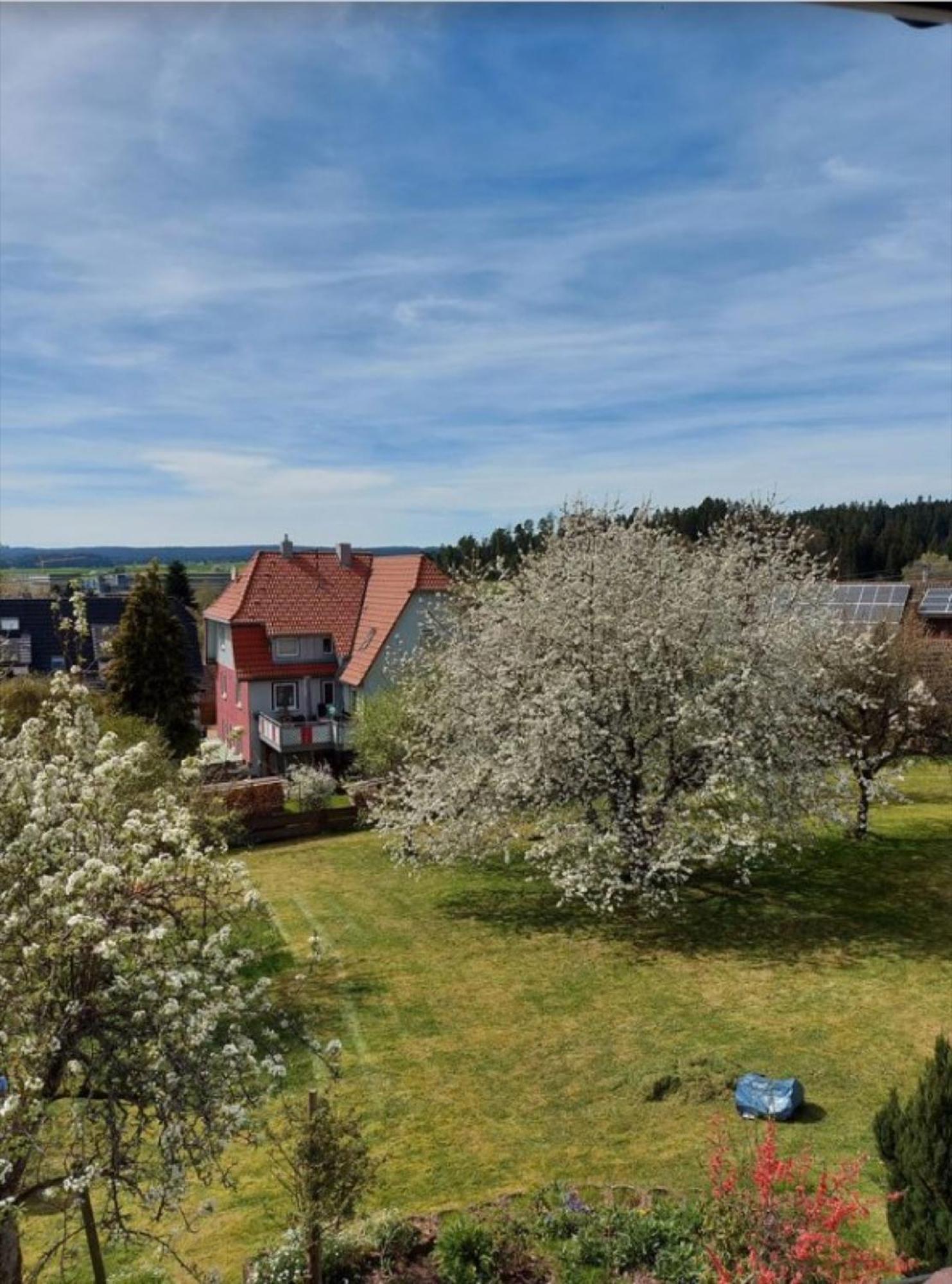 Апартаменты Schwarzwaldliebe Dornstetten Экстерьер фото